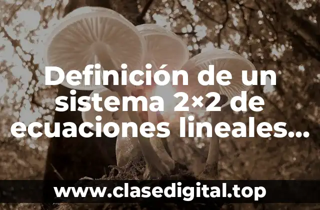 Definición de un sistema 2×2 de ecuaciones lineales simultáneas