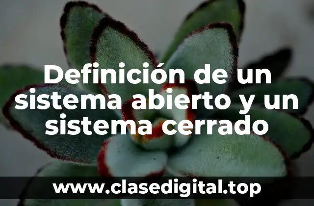 Definición de un sistema abierto y un sistema cerrado