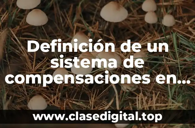 Definición técnica de un sistema de compensaciones en libro