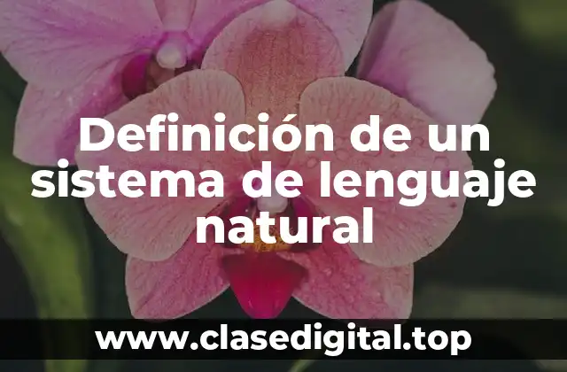 Definición de un sistema de lenguaje natural