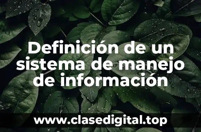Definición de un sistema de manejo de información