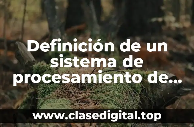 Definición de un sistema de procesamiento de datos