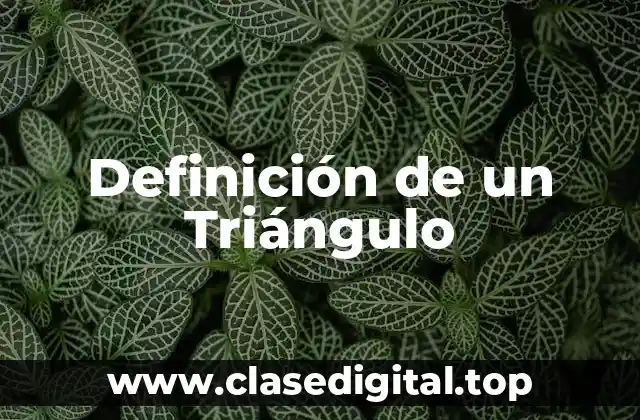 Definición de un Triángulo