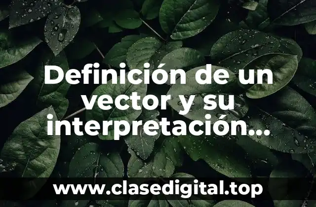 Definición de un vector y su interpretación geológica