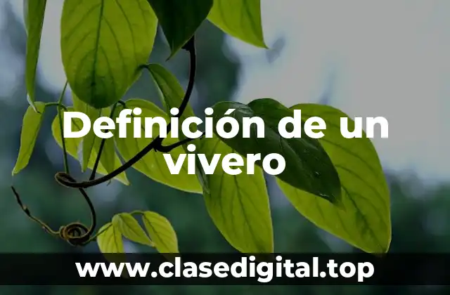 Definición de un vivero