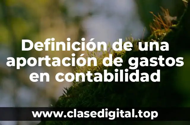 Definición de una aportación de gastos en contabilidad