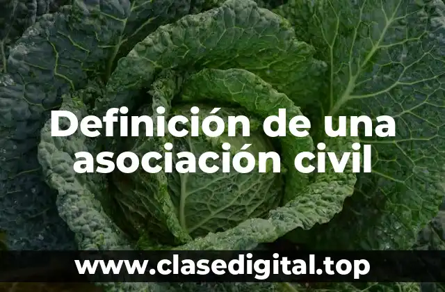 Definición de una asociación civil
