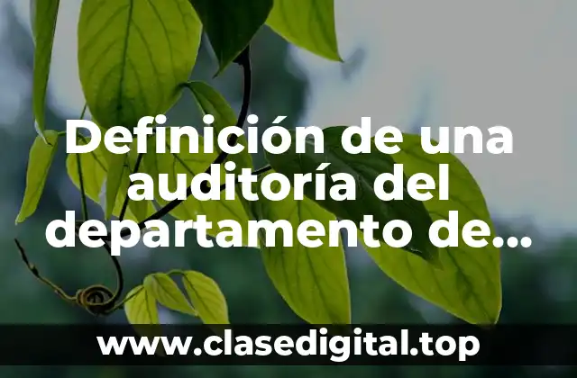 Definición de una auditoría del departamento de ventas