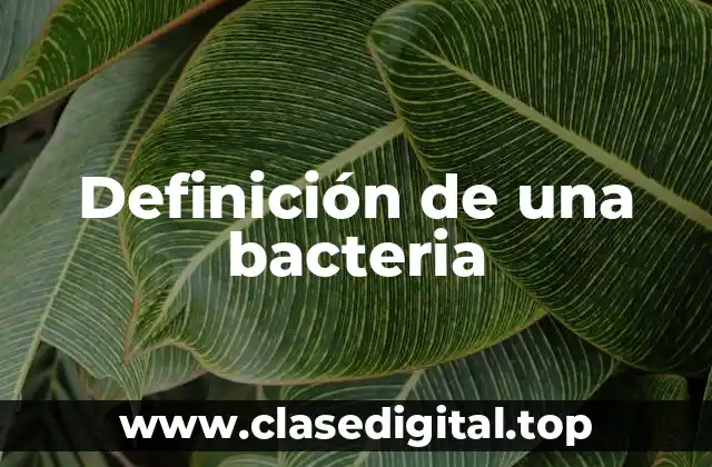 Definición de una bacteria