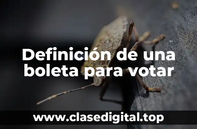 Definición de una boleta para votar