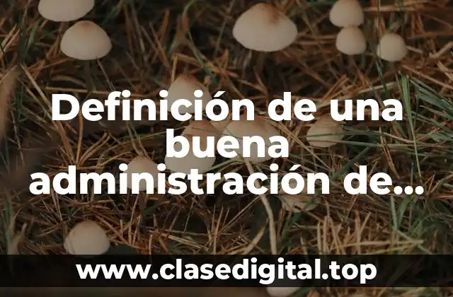 Definición de una buena administración de una empresa