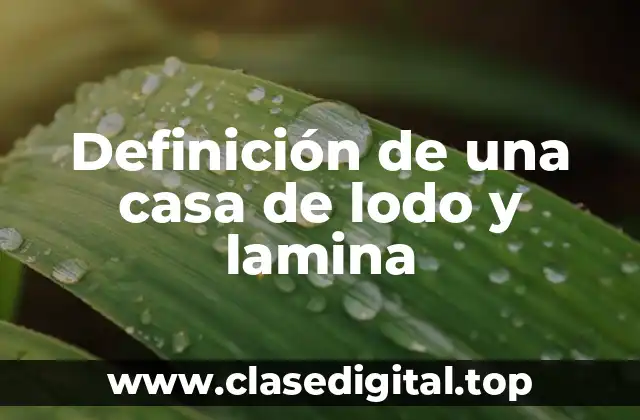 Definición de una casa de lodo y lamina