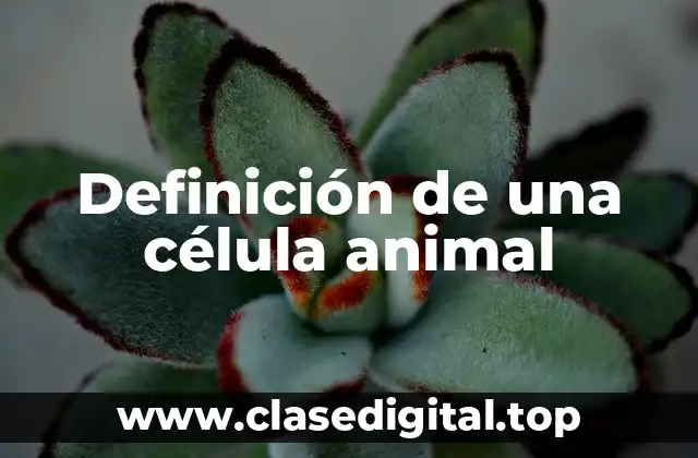 Definición de una célula animal