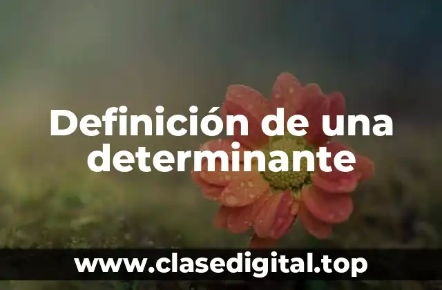 Definición de una determinante