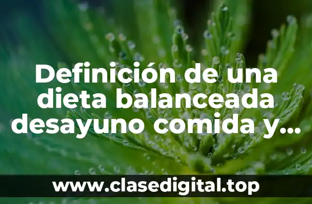 Definición de una dieta balanceada desayuno comida y cena