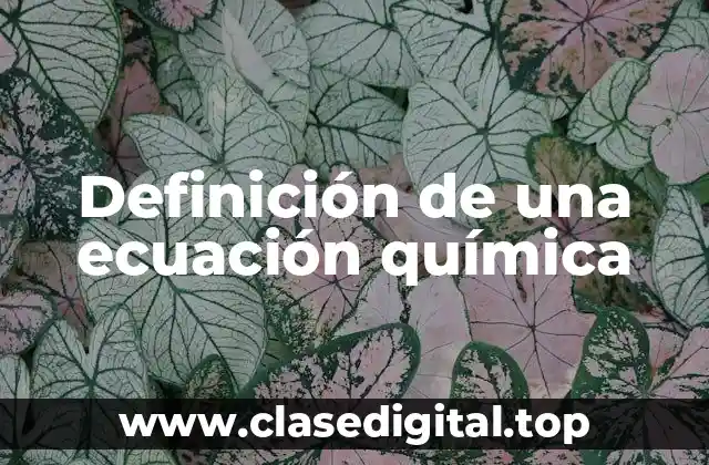 Definición de una ecuación química