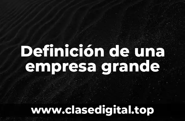 Definición de una empresa grande