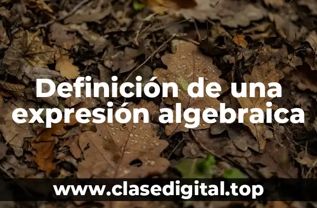 Definición técnica de una expresión algebraica