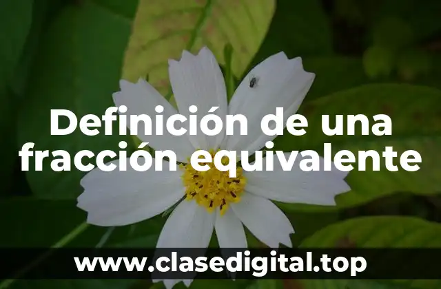 Definición de una fracción equivalente