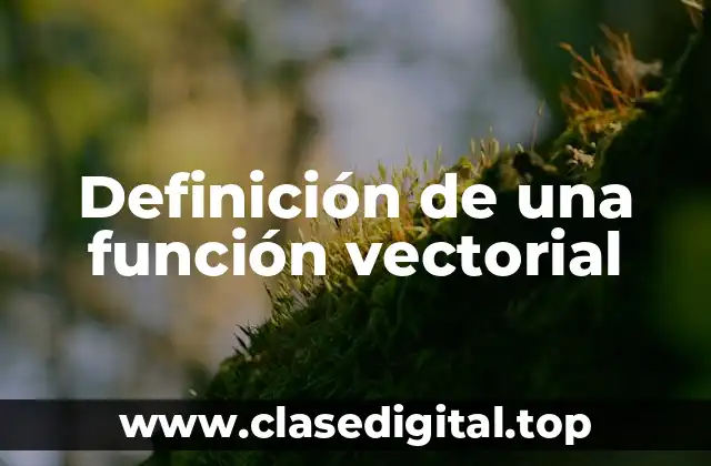 Definición de una función vectorial
