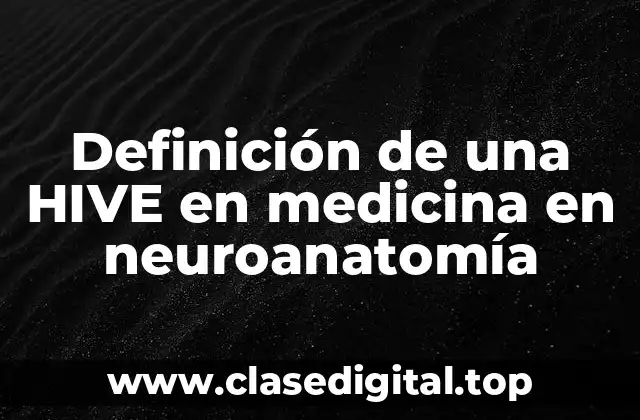 Definición técnica de una HIVE