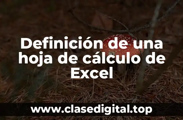 Definición de una hoja de cálculo de Excel