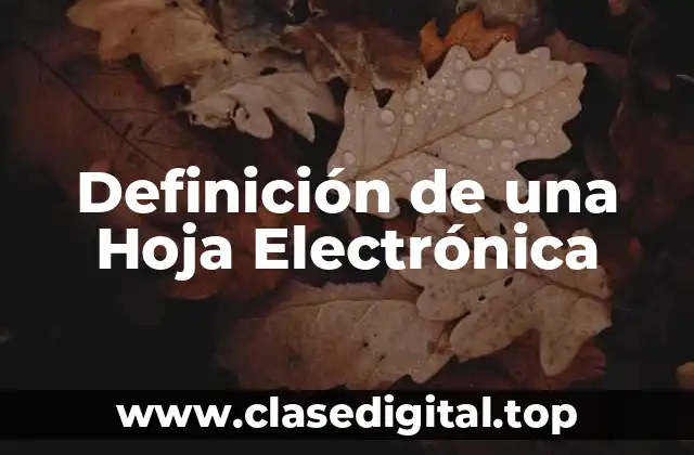 Definición de una Hoja Electrónica