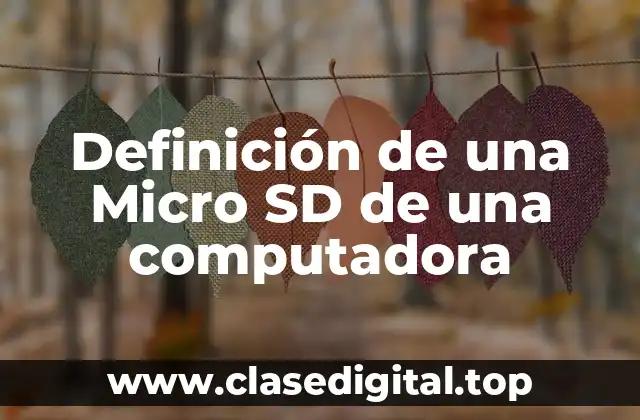 Definición de una Micro SD de una computadora