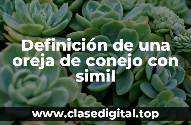 Definición de una oreja de conejo con simil