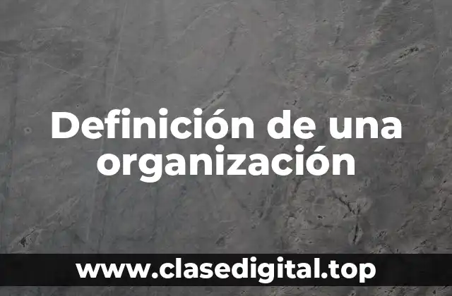 Definición técnica de organización