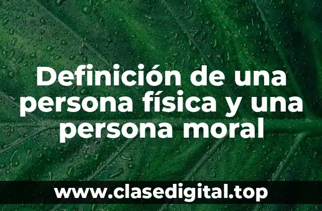 Definición técnica de persona física