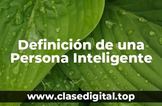 Definición Técnica de una Persona Inteligente