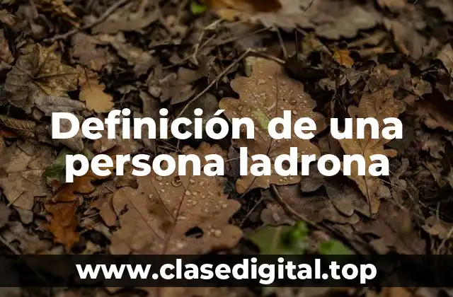 Definición de una persona ladrona
