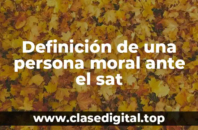 Definición de una persona moral ante el sat