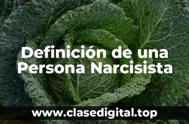 Definición de una Persona Narcisista