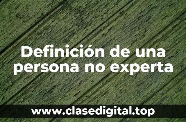 Definición técnica de una persona no experta