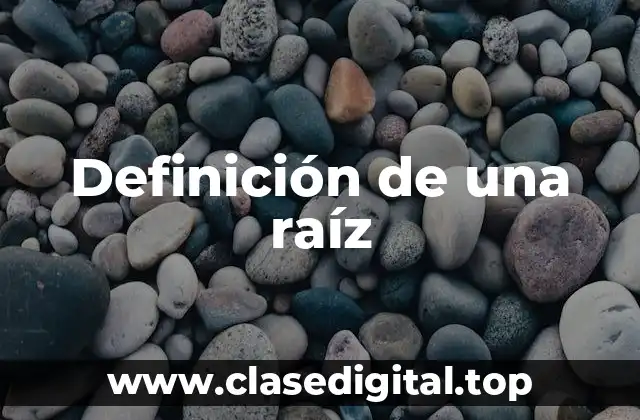 Definición de una raíz