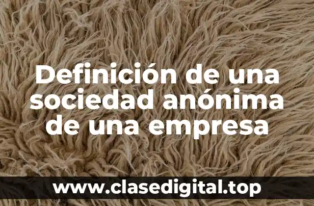 Definición de una sociedad anónima de una empresa