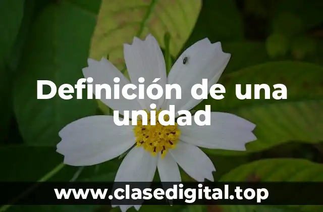 Definición de una unidad