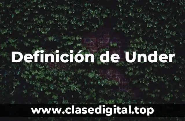 Definición de Under