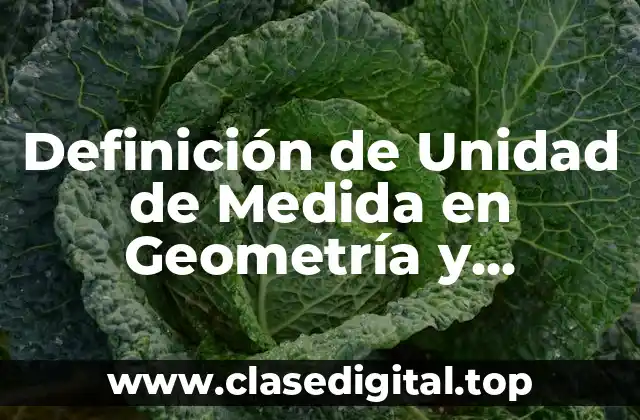 Definición de Unidad de Medida en Geometría y Trigonometría