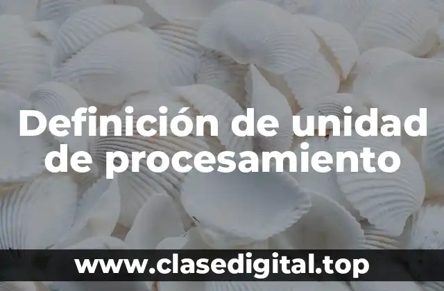 Definición de unidad de procesamiento