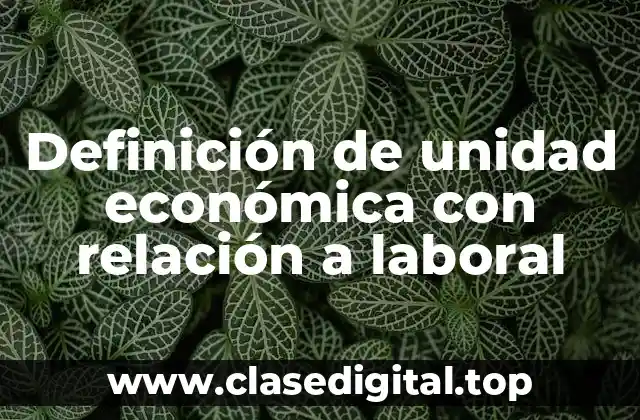 Definición técnica de unidad económica con relación a laboral