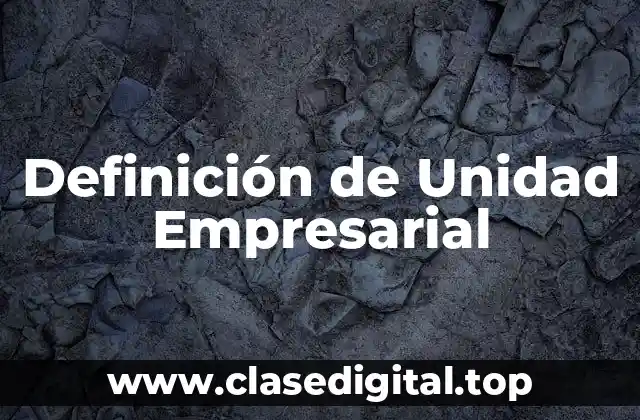Definición técnica de unidad empresarial