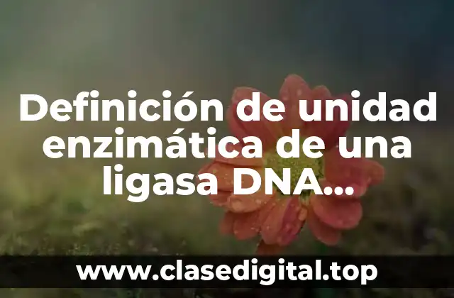 Definición de unidad enzimática de una ligasa DNA polimerasa