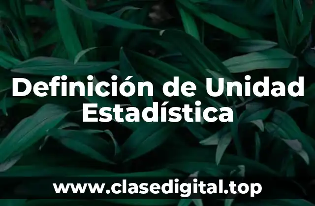 Definición de Unidad Estadística