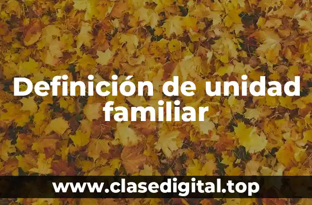 Definición de unidad familiar