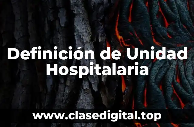 Definición de Unidad Hospitalaria