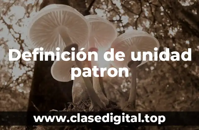 Definición de unidad patron