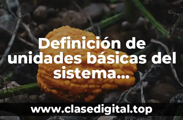 Definición de unidades básicas del sistema internacional UNAM